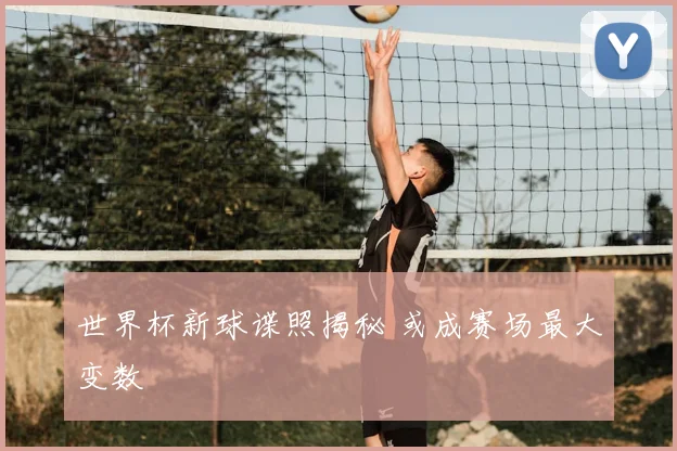 世界杯新球谍照揭秘 或成赛场最大变数