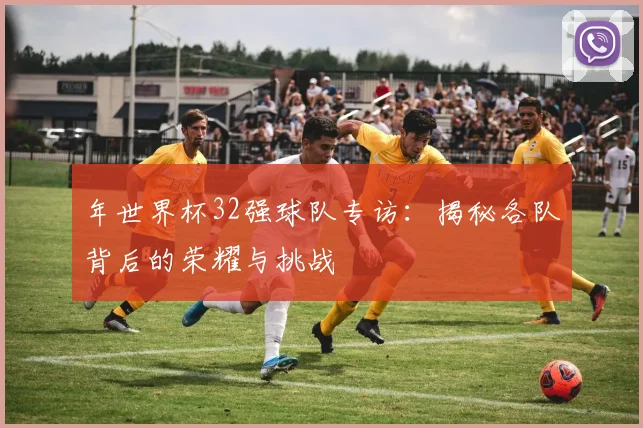 年世界杯32强球队专访：揭秘各队背后的荣耀与挑战