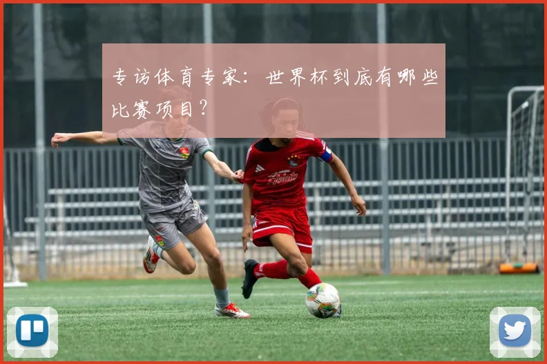 专访体育专家：世界杯到底有哪些比赛项目？
