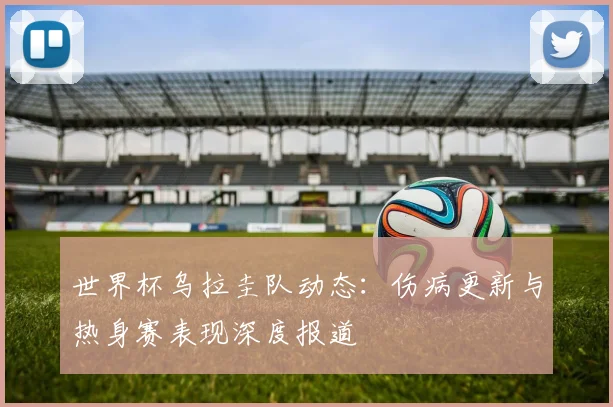 世界杯乌拉圭队动态：伤病更新与热身赛表现深度报道